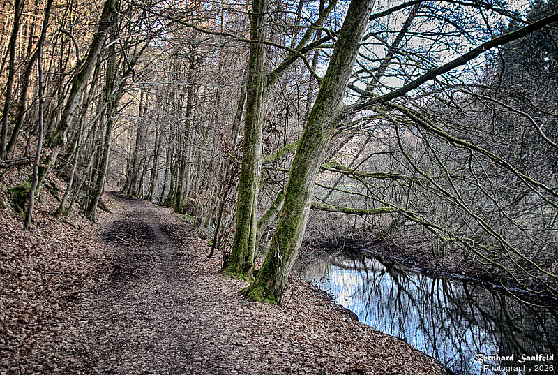 Bernhard Saalfeld - Dhuenn (1v9)